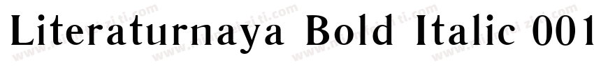 Literaturnaya Bold Italic 001.001字体转换